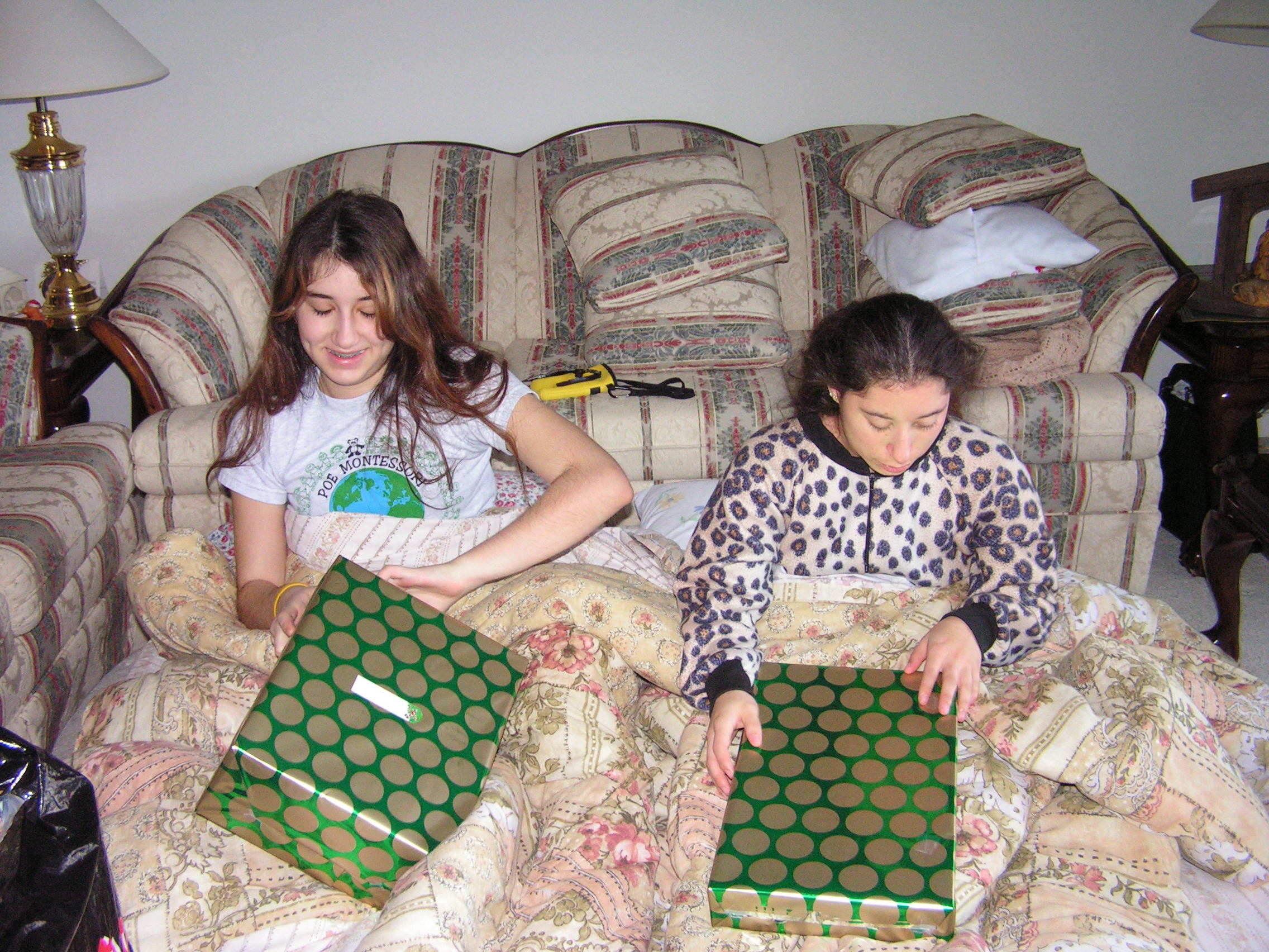 ./2006/Christmas/Mom and Dad's/PICT0179.JPG